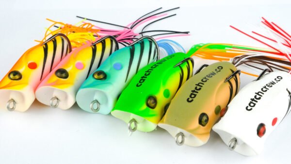 Kikker Popper Frog